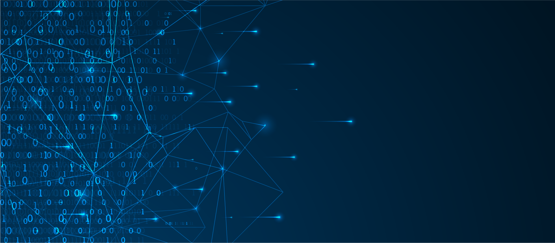 CIS Safeguard 4.9: Configure Trusted DNS Servers on Enterprise Assets