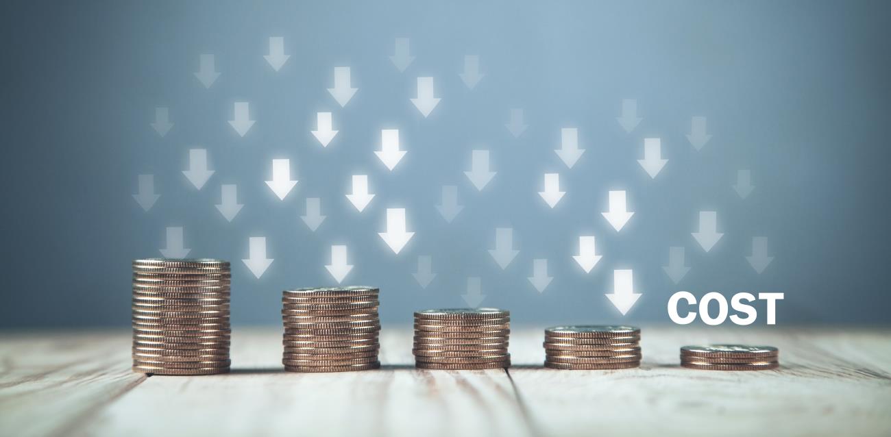 How to Reduce Windows 365 Costs