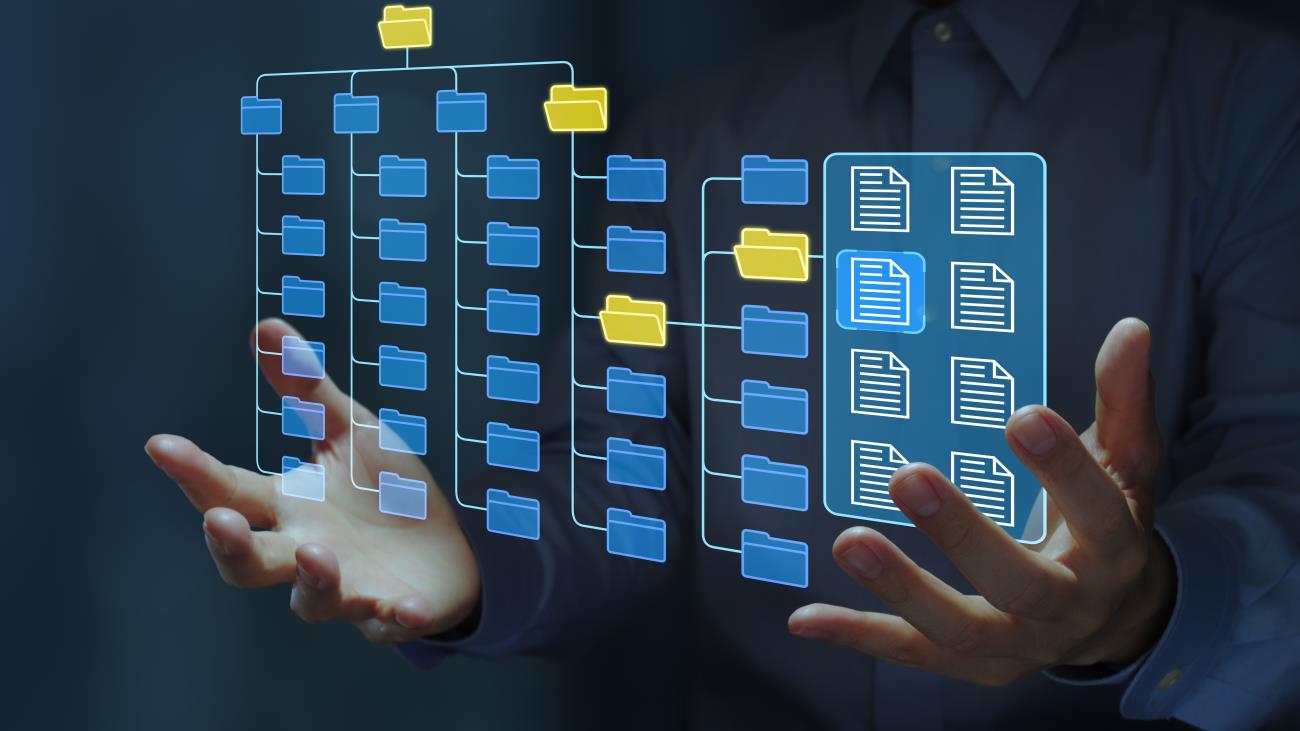CIS Safeguard 8.10: Retain Audit Logs