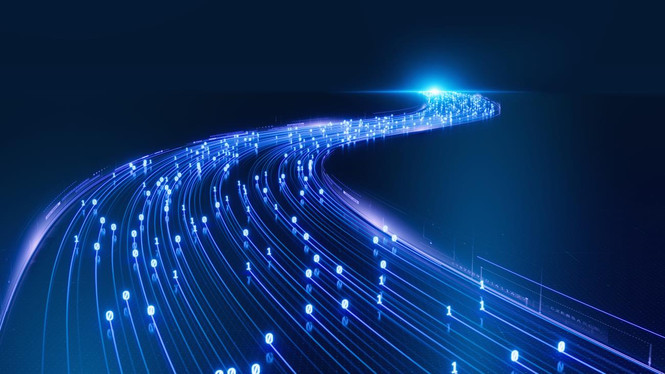 CIS Safeguard 13.6: Collect Network Traffic Flow Logs